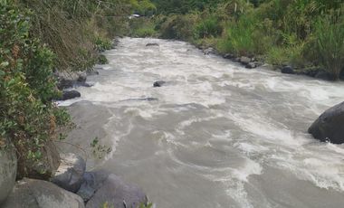 VENTA  FINCA DE 12.HAS, SEMBRIOS CAFE, EN INTAG COTACACHI