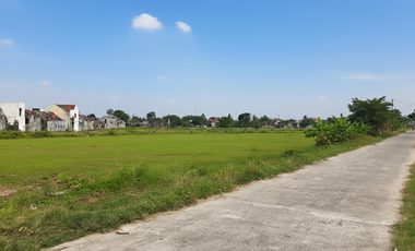 Tanah Godean SHM Belakang Al Azhar AYWS Yogyakarta