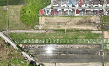 Tanah Godean SHM Belakang Al Azhar AYWS Yogyakarta