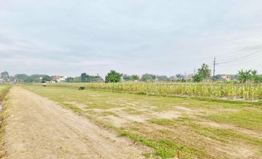 Tanah Godean SHM Belakang Al Azhar AYWS Yogyakarta