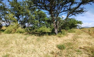 EN VENTA TERRENO EN ZIMATLAN DE ALVAREZ OAXACA