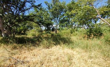 EN VENTA TERRENO EN ZIMATLAN DE ALVAREZ OAXACA