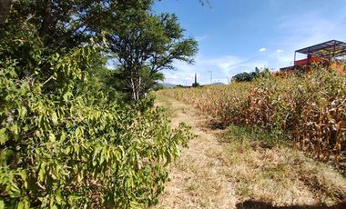 EN VENTA TERRENO 300 MTS2 ZIMATLAN DE ALVAREZ OAXACA