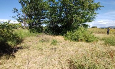 EN VENTA TERRENO 300 MTS2 ZIMATLAN DE ALVAREZ OAXACA