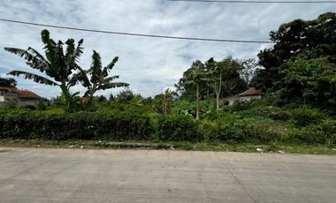 Kavling Cihampelas KBB Cocok Untuk Bangun Rumah Luas 70m2