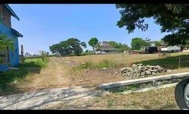 jual tanah zona kuning bagus untuk perumahan cluster  ,pondok pesantren ,dekat semua fasum di kayangan Diwek Jombang