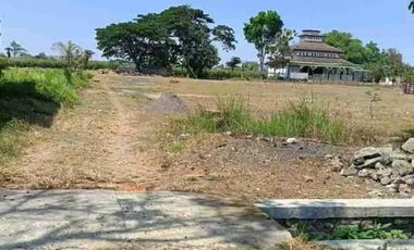 jual tanah zona kuning bagus untuk perumahan cluster  ,pondok pesantren ,dekat semua fasum di kayangan Diwek Jombang
