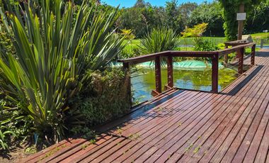 Amplio, Hermoso y Comodo Departameto con Areas Verde, Reñaca