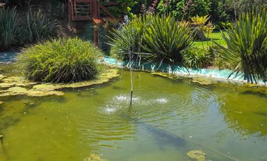 Amplio, Hermoso y Comodo Departameto con Areas Verde, Reñaca