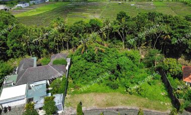 Tanah Seseh Greenlot Munggu one gate system riverfront