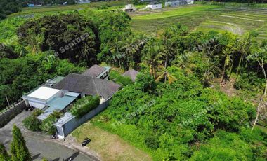 Tanah Seseh Greenlot Munggu one gate system riverfront