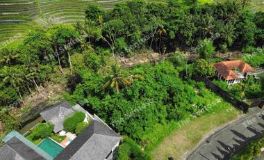 Tanah Seseh Greenlot Munggu one gate system riverfront