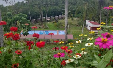 4.9 hectares Lot with Resort Farm For Sale at Ragay Camarines Sur Bicol