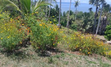 4.9 hectares Lot with Resort Farm For Sale at Ragay Camarines Sur Bicol