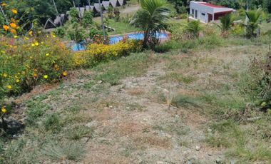 4.9 hectares Lot with Resort Farm For Sale at Ragay Camarines Sur Bicol