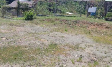 4.9 hectares Lot with Resort Farm For Sale at Ragay Camarines Sur Bicol