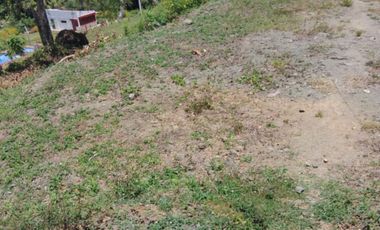 4.9 hectares Lot with Resort Farm For Sale at Ragay Camarines Sur Bicol
