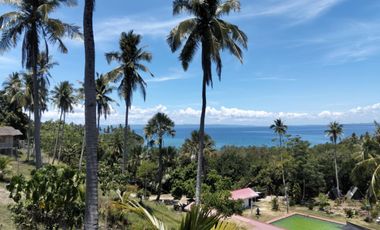 4.9 hectares Lot with Resort Farm For Sale at Ragay Camarines Sur Bicol