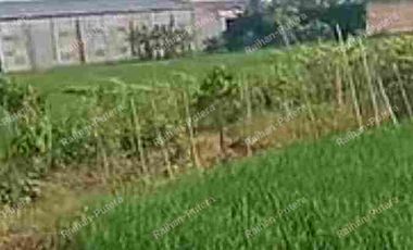 Dijual Tanah Karanganyar kota Dekat Alun2