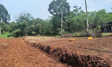 Tanah murah cepoko harga 90 jutaan bisa di tempo gunungpati