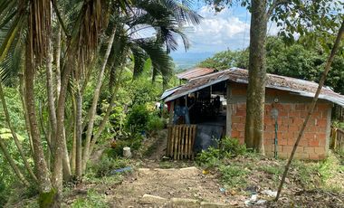 FINCA DE 6 HECTAREAS ARRIENDO