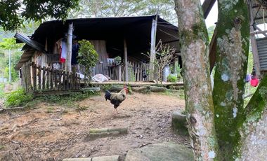 FINCA DE 6 HECTAREAS ARRIENDO