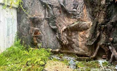 Di sewakan rumah besar dengan harga yang tidak besar di jakarta selatan