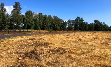 Se venden dos parcelas en el Remanso Arenal a 10 minutos de Valdivia