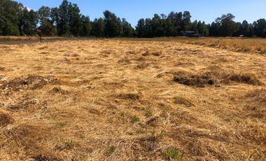 Se venden dos parcelas en el Remanso Arenal a 10 minutos de Valdivia