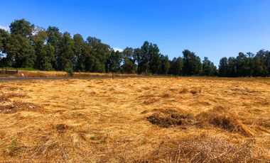 Se venden dos parcelas en el Remanso Arenal a 10 minutos de Valdivia