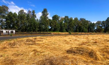Se venden dos parcelas en el Remanso Arenal a 10 minutos de Valdivia