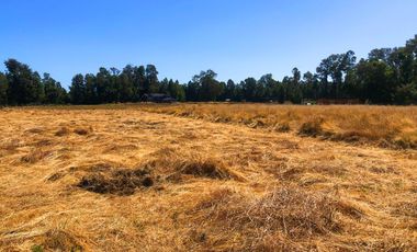 Se venden dos parcelas en el Remanso Arenal a 10 minutos de Valdivia