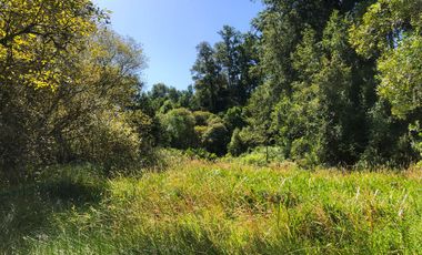 Se venden dos parcelas en el Remanso Arenal a 10 minutos de Valdivia