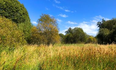 Se venden dos parcelas en el Remanso Arenal a 10 minutos de Valdivia