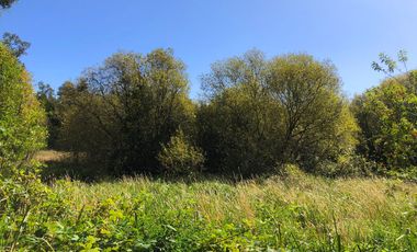 Se venden dos parcelas en el Remanso Arenal a 10 minutos de Valdivia