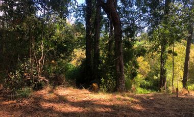 Se venden dos parcelas en el Remanso Arenal a 10 minutos de Valdivia