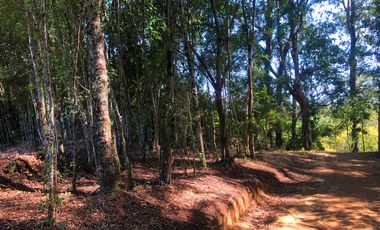 Se venden dos parcelas en el Remanso Arenal a 10 minutos de Valdivia