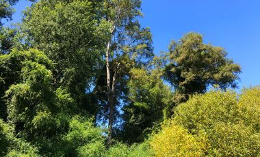 Se venden dos parcelas en el Remanso Arenal a 10 minutos de Valdivia