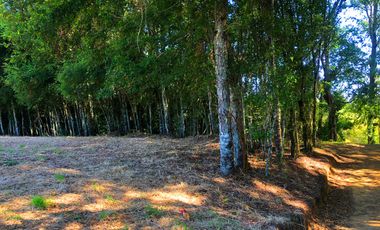 Se venden dos parcelas en el Remanso Arenal a 10 minutos de Valdivia