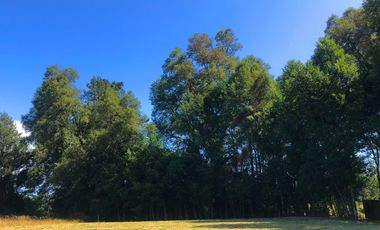 Se venden dos parcelas en el Remanso Arenal a 10 minutos de Valdivia