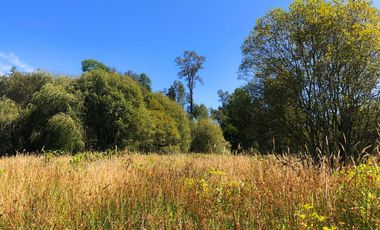 Se venden dos parcelas en el Remanso Arenal a 10 minutos de Valdivia