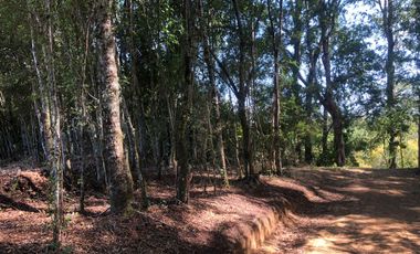 Se venden dos parcelas en el Remanso Arenal a 10 minutos de Valdivia