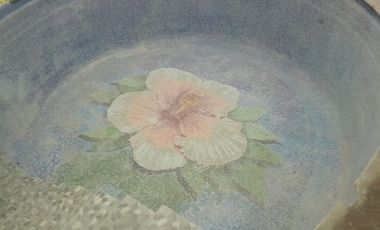 Venta o Renta de Casa en Colonia el Rincón Condominio Horizontal