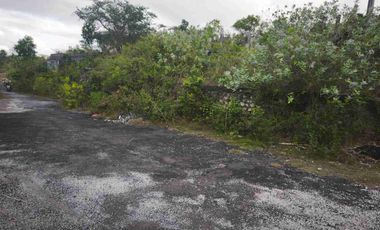 dijual tanah 25,10 are IDR nett 275 juta per are diungasan Kuta Selatan Badung Bali
