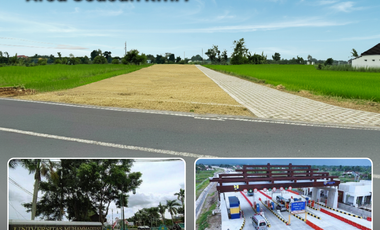 Tanah Jogja Area Kampus UMY, Nyaman Huni dan View Sawah