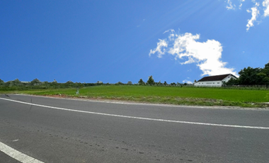 Tanah Jogja Area Kampus UMY, Nyaman Huni dan View Sawah