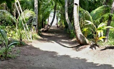 Private Island For Sale Di Kepulauan Seribu Utara,Pulau Peteloran Barat
