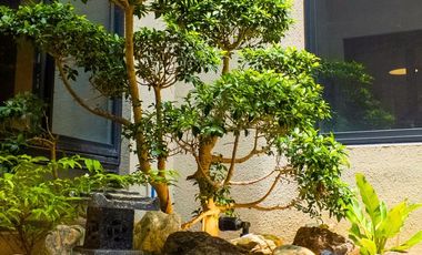 Japanese Contemporary Home with Courtyard in Southbay Gardens, Parañaque