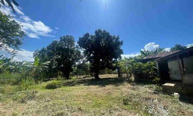 Terreno plano de 1.42 ha en plena Av. Circunvalación, una de las principales vías de tránsito de la ciudad. Un espacio dormido que espera ser transformado.