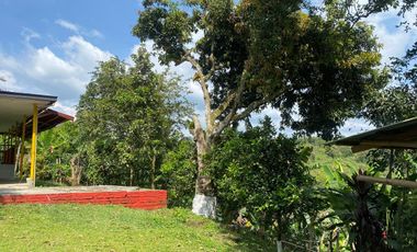 Casa de Campo con cultivos